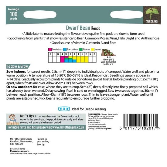 Seminte PHASEOLUS vulgaris-Dwarf Bean- Rondo -Fasole pitica cu teci subtiri