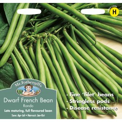 Seminte PHASEOLUS vulgaris-Dwarf Bean- Rondo -Fasole pitica cu teci subtiri