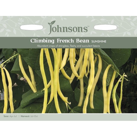 Seminte PHASEOLUS vulgaris-Clg Bean- Sunshine -Fasole urcatoare cu teci galbene