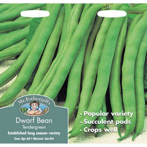 Seminte PHASEOLUS vulgaris-Dwarf Bean- Tendergreen-Fasole pitica cu teci verzi 