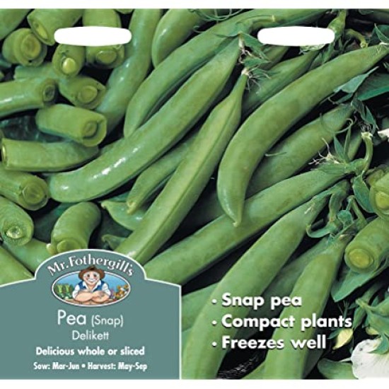 Seminte PISUM sativum-Pea (Snap)- Delikett -Mazare dulce Seminte PISUM sativum-Pea (Snap)- Delikett -Mazare dulce