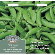 Seminte PISUM sativum-Pea- Nairobi (Snap) -Mazare dulce rezistenta la fainare