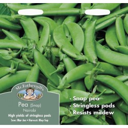 Seminte PISUM-Pea- sativum (Snap) Nairobi-Mazare dulce rezistenta la fainare