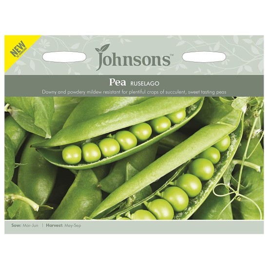 Seminte PISUM sativum-Pea- Ruselago -Mazare dulce