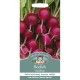 Seminte RAPHANUS sativus-Radish- Amethyst -Ridichi mov Seminte RAPHANUS sativus-Radish- Amethyst -Ridichi mov