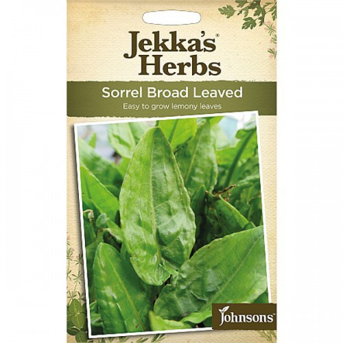 Seminte RUMEX acetosa-Herbs Sorrel- Broad Leaved - Macris comun