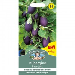 Seminte SOLANUM melongena-Aubergine- Baby Jack -Vinete mov mici