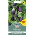 Seminte SOLANUM melongena-Aubergine- Baby Jack -Vinete mici de ghiveci
