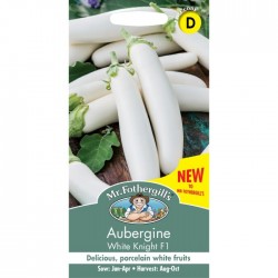 Seminte SOLANUM melongena-Aubergine- White Knight F1 -Vinete albe lungi