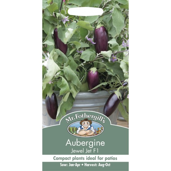Seminte SOLANUM melongena-Aubergine- Jewel Jet F1 -Vinete de ghiveci