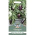Seminte SOLANUM melongena-Aubergine- Jewel Jet F1 -Vinete de ghiveci