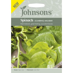 Seminte SPINACIA (Basella alba)-Spinach Climbing- Malabar Spinach -Spanac urcator