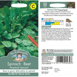 Seminte SPINACIA (Beta vulgaris)-Spinach- Perpetual (foth) -Spanac peren