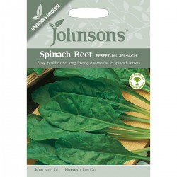 Seminte SPINACIA (Beta vulgaris)-Spinach- Perpetual (john) -Spanac peren