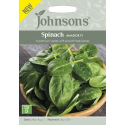 Seminte SPINACIA oleracea-Spinach- Amador F1 -Spanac rezistent la fainare