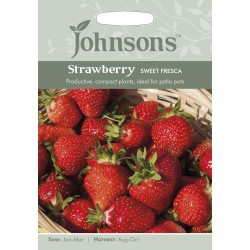 Seminte STRAWBERRY-Fragaria ananassa- Sweet Fresca -Capsuni Seminte STRAWBERRY-Fragaria ananassa- Sweet Fresca -Capsuni
