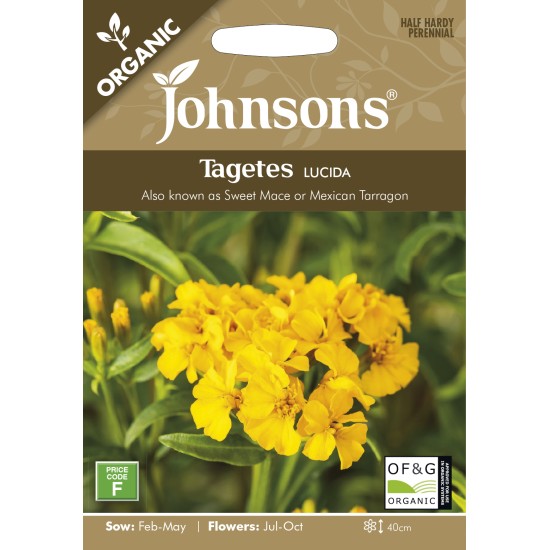 Seminte TARRAGON Mexican -Tagetes lucida ORG- Sweet Mace -Tarhon Mexican