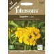 Seminte TARRAGON Mexican -Tagetes lucida ORG- Sweet Mace -Tarhon Mexican