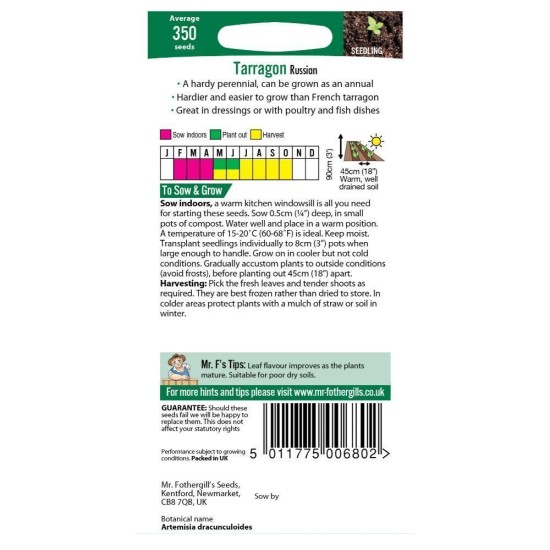 Seminte TARRAGON-Artemisia- Russian -Tarhon rusesc