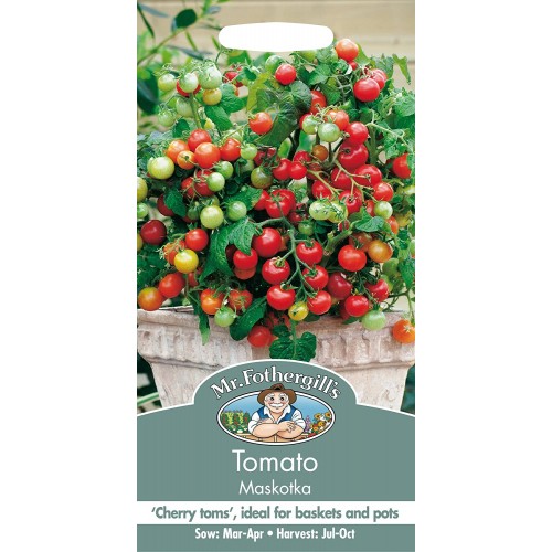 Seminte TOMATO-Solanum lycopersicum- Maskotka-Tomate cherry pitice