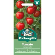 Seminte TOMATO-Solanum lycopersicum- Consuelo F1 -Tomate cherry
