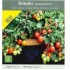 Seminte TOMATO-Solanum lycopersicum- Summer Dew F1 -Tomate cherry