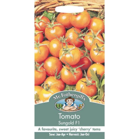 Seminte TOMATO-Solanum lycopersicum- Sungold F1 (foth) -Tomate cherry galbene Seminte TOMATO-Solanum lycopersicum- Sungold F1 (foth) -Tomate cherry galbene