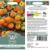 Seminte TOMATO-Solanum lycopersicum- Sungold F1 (foth) -Tomate cherry galbene