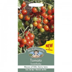 Seminte TOMATO-Solanum lycopersicum- Sweetbaby-Tomate cherry