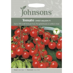 Seminte TOMATO-Solanum lycopersicum- Sweet Million F1 -Tomate rezistente la mosaic si fusarium