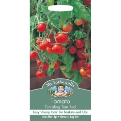 Seminte TOMATO-Solanum lycopersicum- Tumbling Tom Red - Tomate curgatoare-rosii