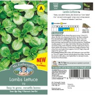 Seminte VALERIANELLA locusta-Lambs Lettuce- Vit -Fetica