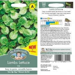 Seminte VALERIANELLA locusta-Labs Lettuce- Vit -Fetica