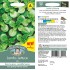 Seminte VALERIANELLA locusta-Lambs Lettuce- Vit -Fetica