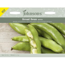 Seminte VICIA faba-Broad bean- Bartek - Bob timpuriu Seminte VICIA faba-Broad bean- Bartek - Bob timpuriu